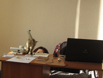 � ������ ������� ������ ���� ����������� ��������� �������� �����