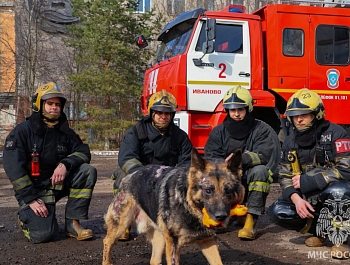 � ����� � ���������� �������� ������ �������� ��� �� ���