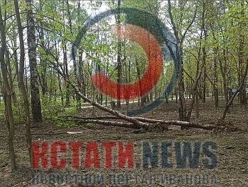 ������ �������� ����� � ����������� � �������