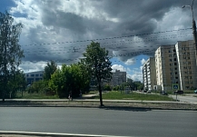 В Иванове подозрительно сильно шумят деревья