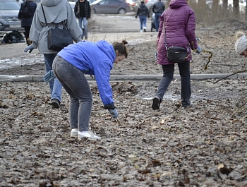 ������� ���� �������������� ���������� � �������