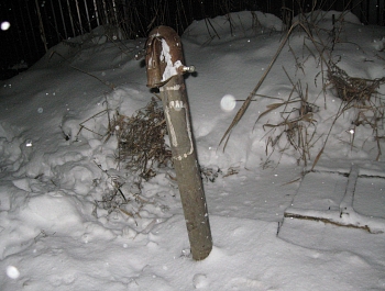 ���� � ���� ����������� �� ��� ��� �� ���������