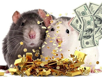 ��������� ��������, ��� ��������� ����� ���, ����� �� ��� �������