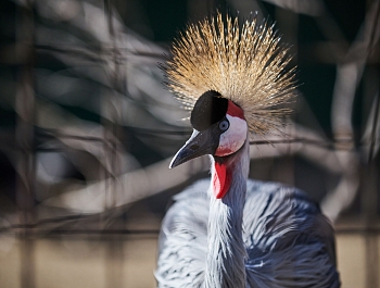 ����� ������ ������� � ���������� �������� ������ ��������� ����