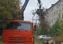 ����� 1,3 ���. ���������� ����� �������� � ������������ �������� � �������