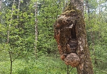  � ���������� ������� �������� ���� ������� ������ ������� 