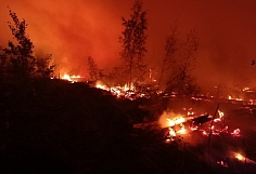 В Южском районе наградят отверженно сражавшихся с лесными пожарами добровольцев