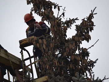 ������ ������� ������� ���������� ������ � ������ ����