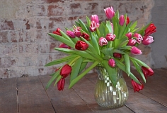 ���������� ������� ��������� ��� �������� �����������