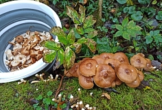 ���������� ������� ������� ������� ��� � ������