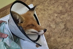 �� ������ ��� �������� ������ ������� ������� � ����� �� ��������� ������