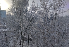 ���������� ������� ���� ������������� ������