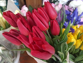 ����� 8 ����� �������� ������� ������� ����� �� ������� �����