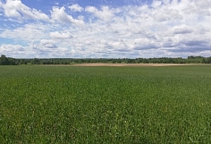 ������� ���-����� ������ �� ������� ���������� ������� ����� ������� ������� � ����