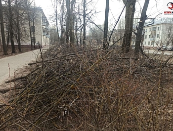 ����� ������� �������� ����� ���������� ����������� �7