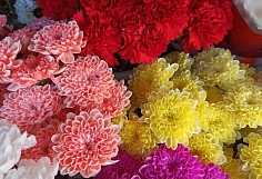 ��������� �������� � ���������� ��������� ������� ����� ��� ����� ����������� �������