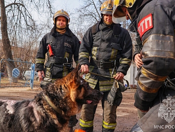 � ����� � ���������� �������� ������ �������� ��� �� ���