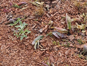 ���������� �������� �� ������ � ������ ������� 