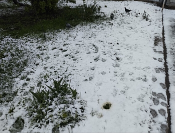 �������� ������ ���������� �������