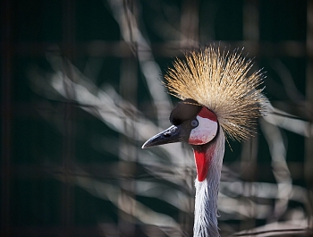 ����� ������ ������� � ���������� �������� ������ ��������� ����