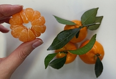 ��������� �������� ������ ����-2025�