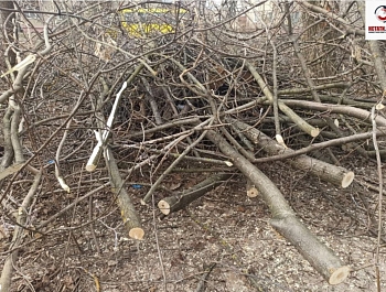 ����� ������� �������� ����� ���������� ����������� �7