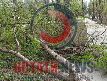 ������ �������� ����� � ����������� � �������