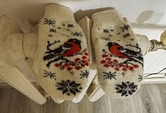 ��� ����� ������� ������� ���� ������� � ���������� ���������