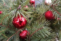 ������� ���������� ������� ������������ ���������� ���������