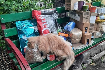 Ивановцы отвезли гуманитарную помощь для кошек в Мариуполь