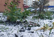 В Иванове назвали день первого снега