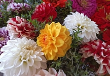 ���� ������� ����� � ���������� ������� �������� 4 804 �����������