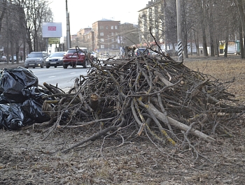 ������� ���� �������������� ���������� � �������