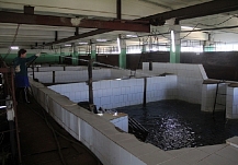 Жители ивановских Родников начнут получать чистую питьевую воду