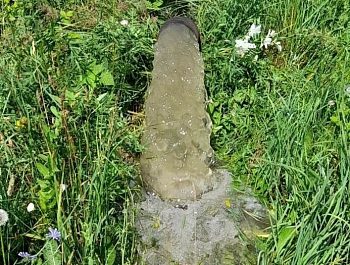 ������ ������� ���������� ��-�� �������� �������� ��������