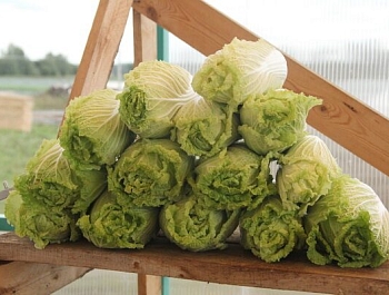 ����������� ������������������ ��������� � ����������� ����������� ����� ����� ��� ���������� ������������