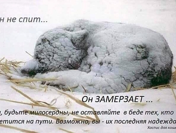 ��� ������ ����� ��������� �������� � ��� ��� ��������