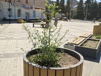 ������ ������� ���������� �������� �� ������