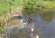 В илистом пруду ищут тело пропавшего жителя Ивановской области