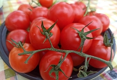  ���������� ����������� ������� � �������� ���������