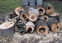 ����� � ���������� ��������� ������������ � �������