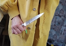 В Иванове женщина вонзила нож в сожителя в ответ на оскорбления