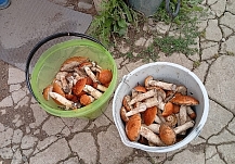 �������� ������ ������ ������������ � ���������� �������