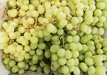 ������� 5 ������������ ��������� ���� � ���������� �������