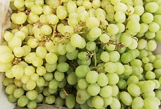 ������� 5 ������������ ��������� ���� � ���������� �������