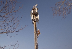 ������ ���� ������� ��������� ����� �� ������ ����� � ����� ����� � TelecomDaily