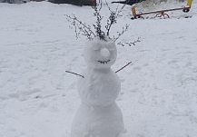 ������ ��������� � ����� � ���������� �������