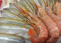 ����������� ���� ������� ���������� ������� �������� ���������� ���� ��� �����