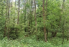 ����������� ������ �������� ������������ � ����� ���������� ������� ������� ������� ������� ������