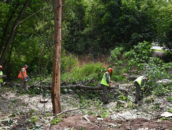 � ������� ����������� ���������� � �������� ���������